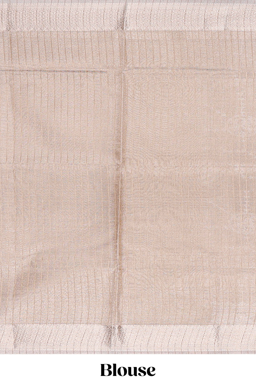 Almond beige Floral vine and ornamental motifs art tissue saree with self zari border and Matching blouse