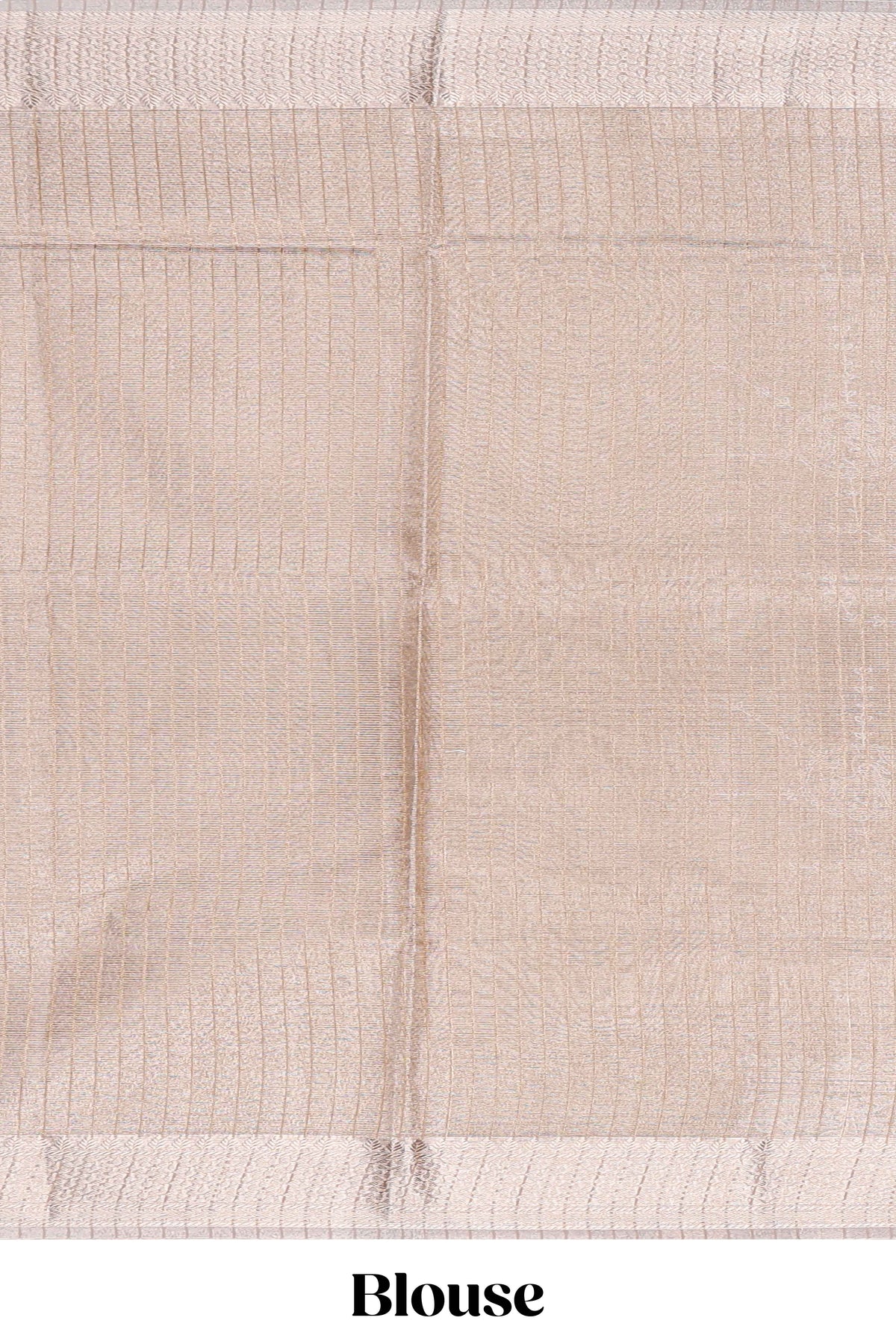 Almond beige Floral vine and ornamental motifs art tissue saree with self zari border and Matching blouse