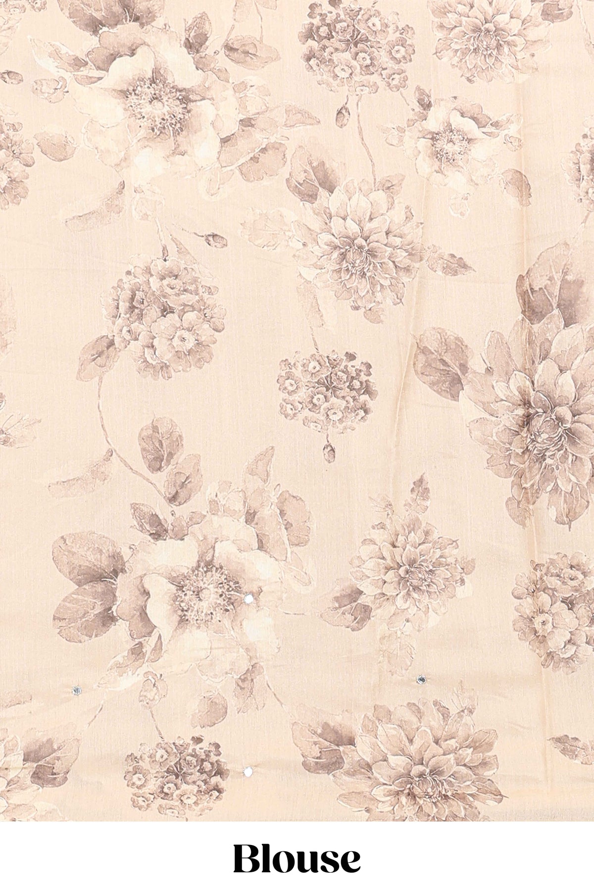 Borderless beige floral designed art tissue saree with self pallu and matching blouse