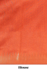 Green semi tussar saree allzariwork with zaritemple border and contrast blouse