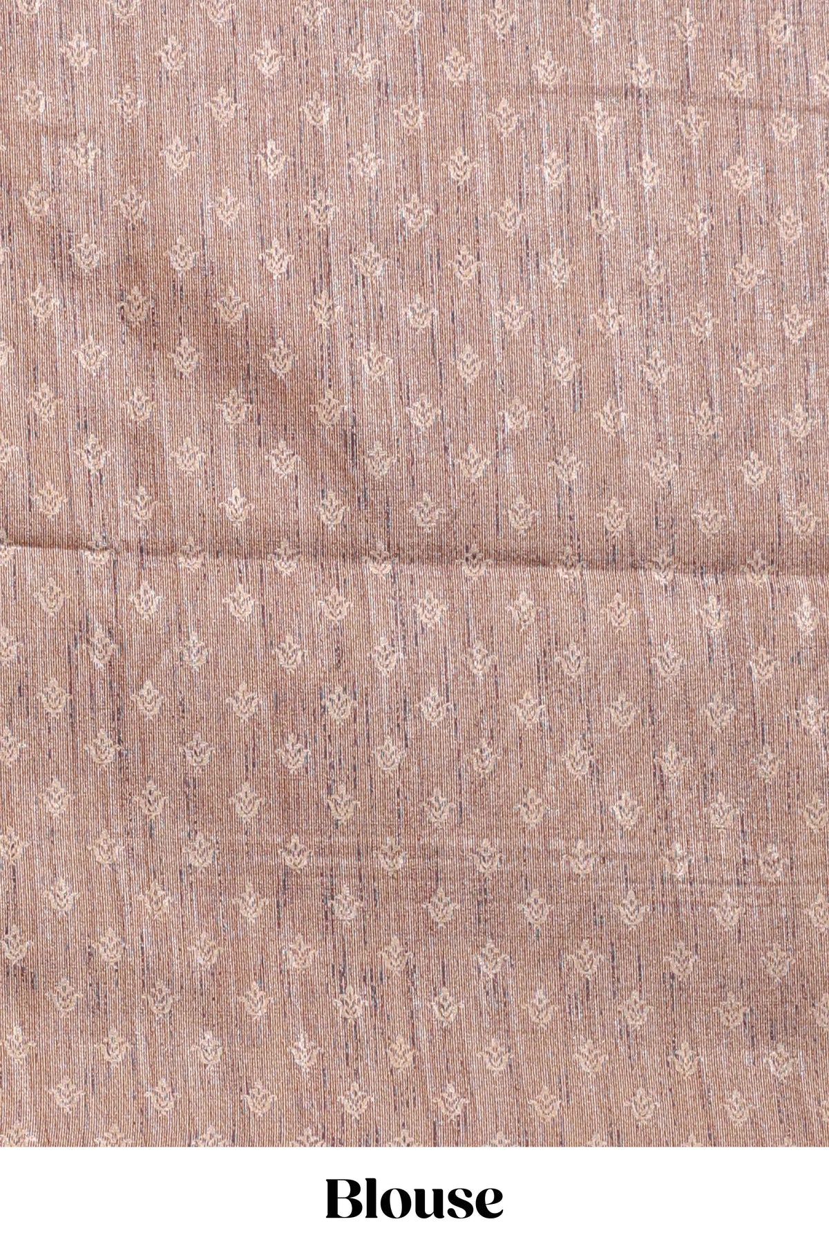 Champagne Beige shade semi tussar saree all hand work embroidery with contrast border and contrast printed printed pallu