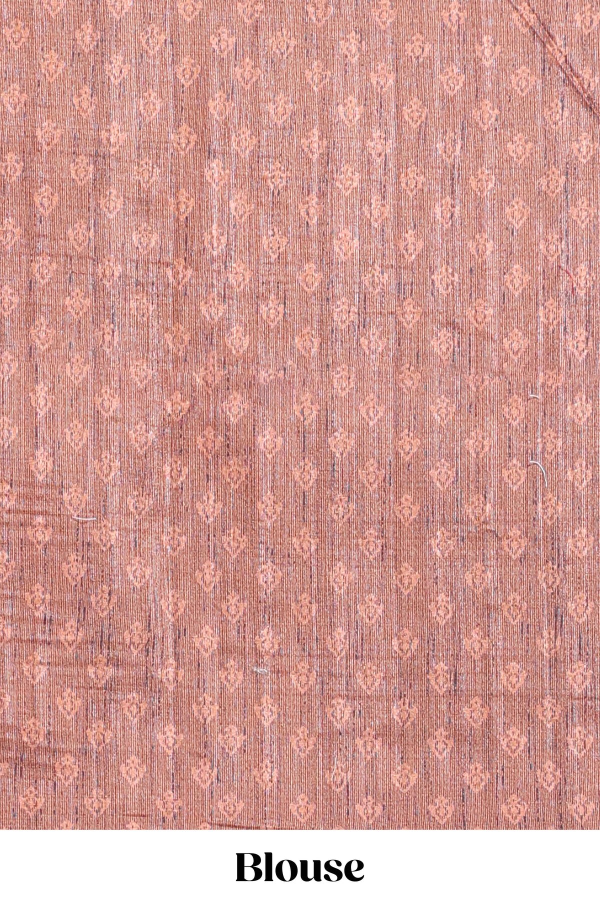 Brick Red shade semi tussar saree all hand work embroidery with contrast border and contrast printed printed pallu