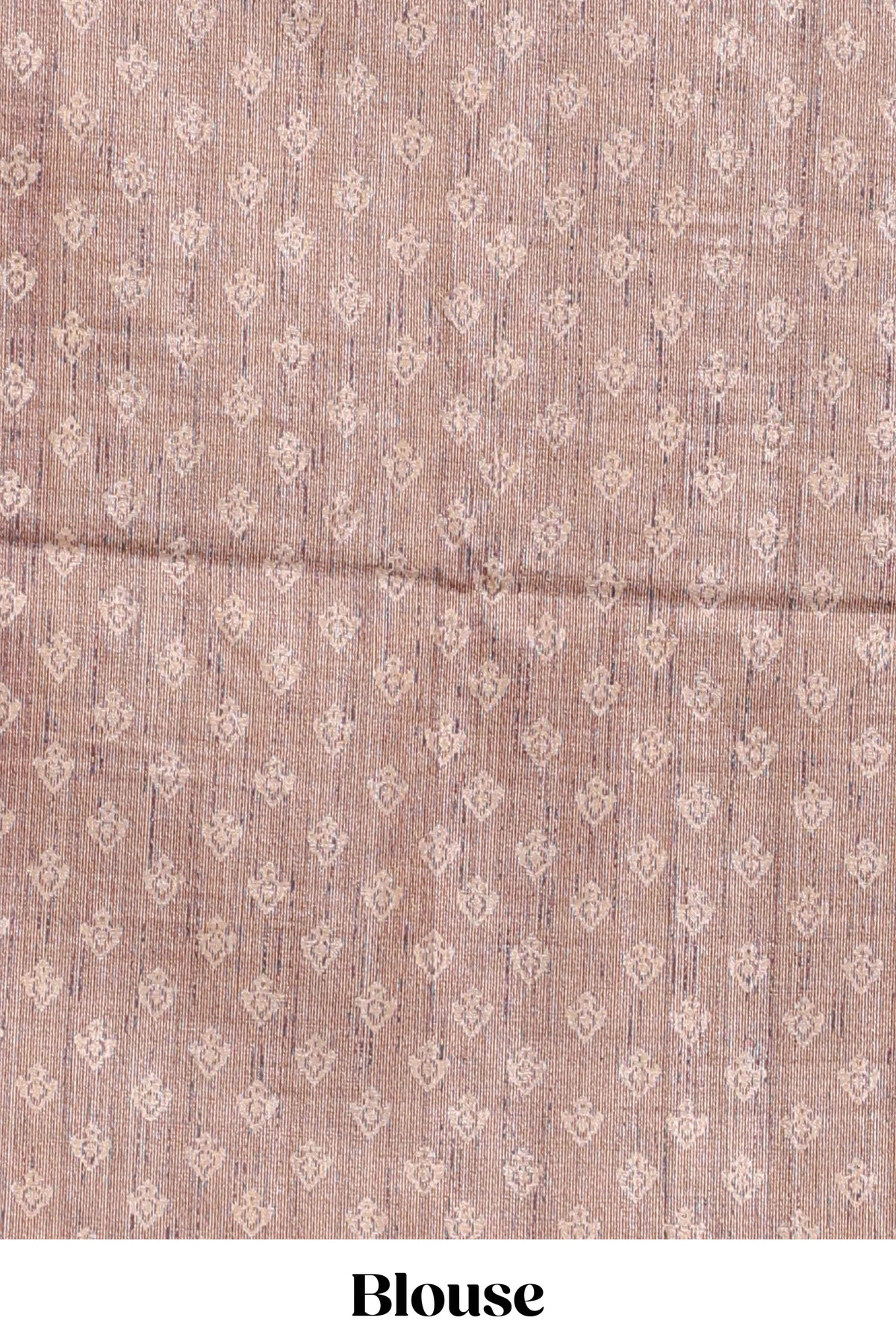 Powder green shade semi tussar saree all hand work embroidery with contrast border and contrast printed printed pallu