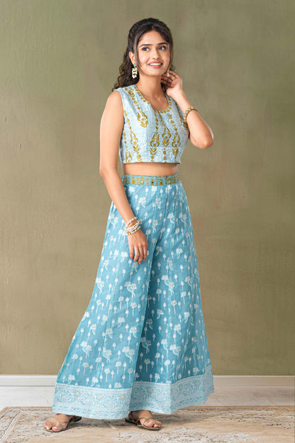 Blue elegant ethnic salwar