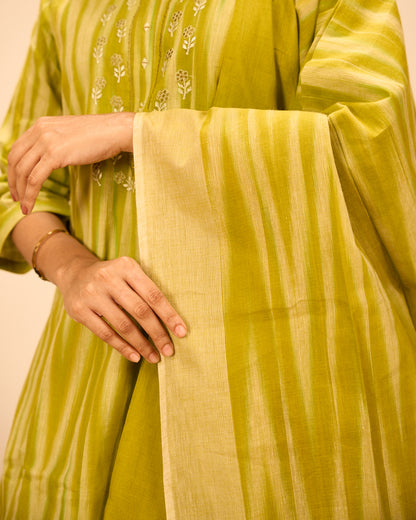 Elegant festive salwar suit