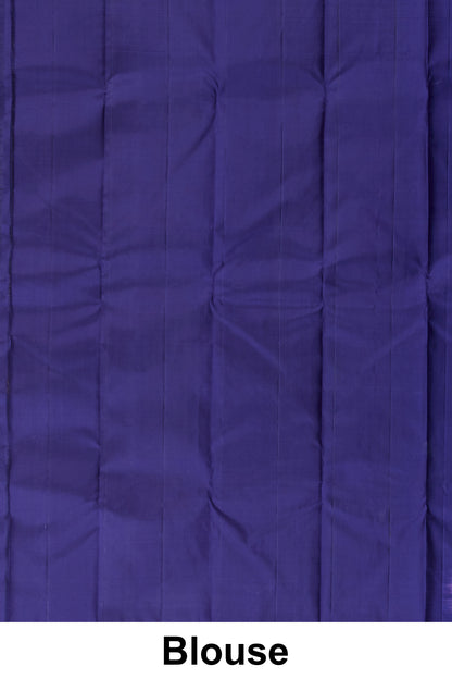 Elegant sky blue Kanchipuram saree