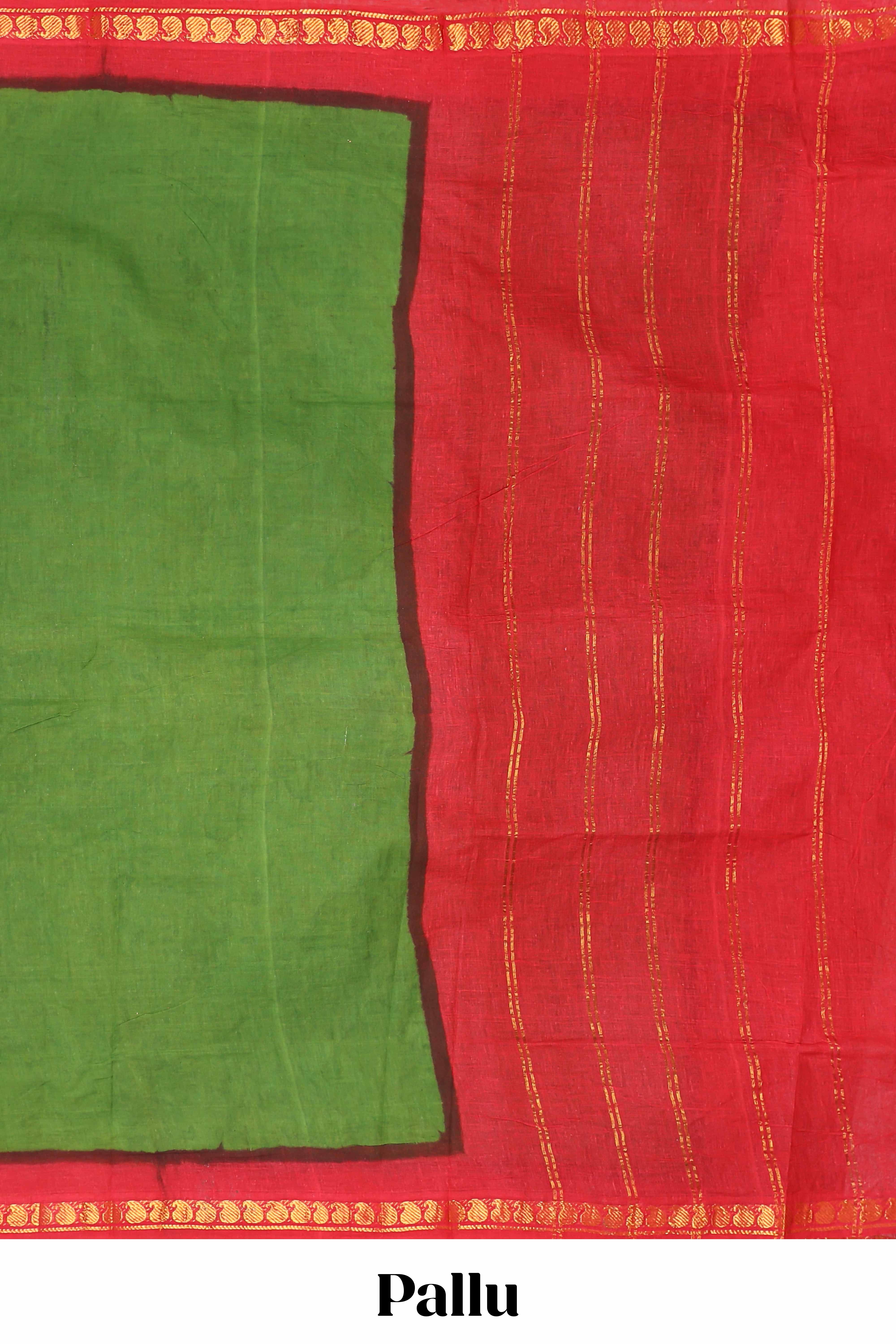 Green Zari border accent