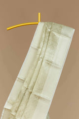 Intricate zari body work