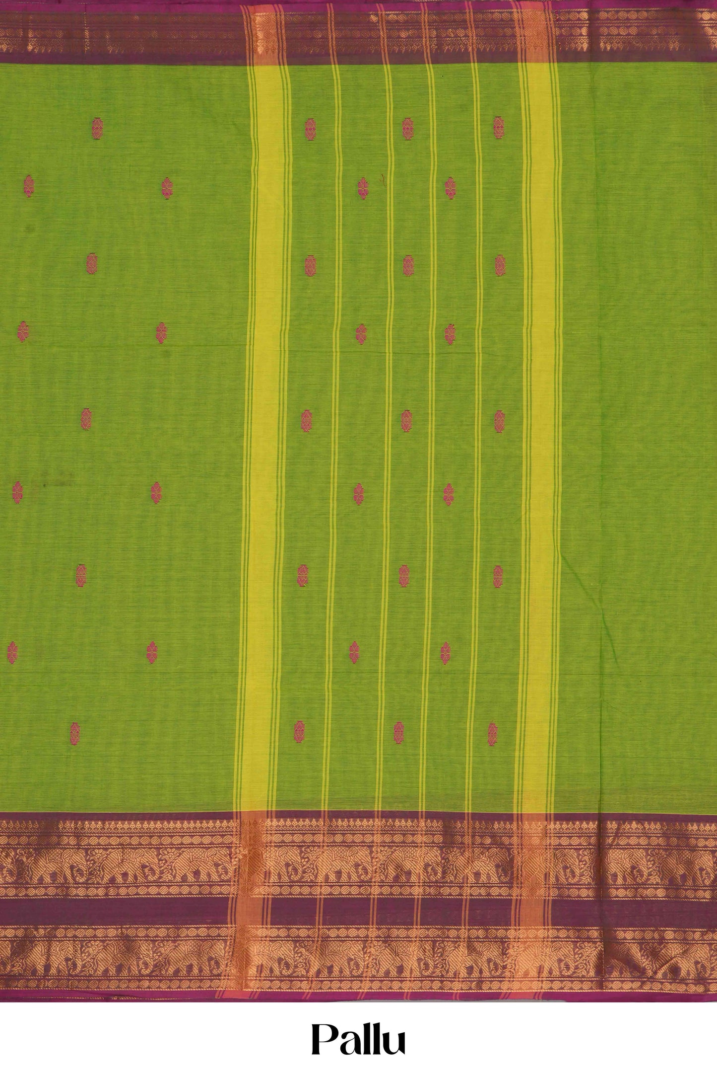 Light green maroon contrast border saree
