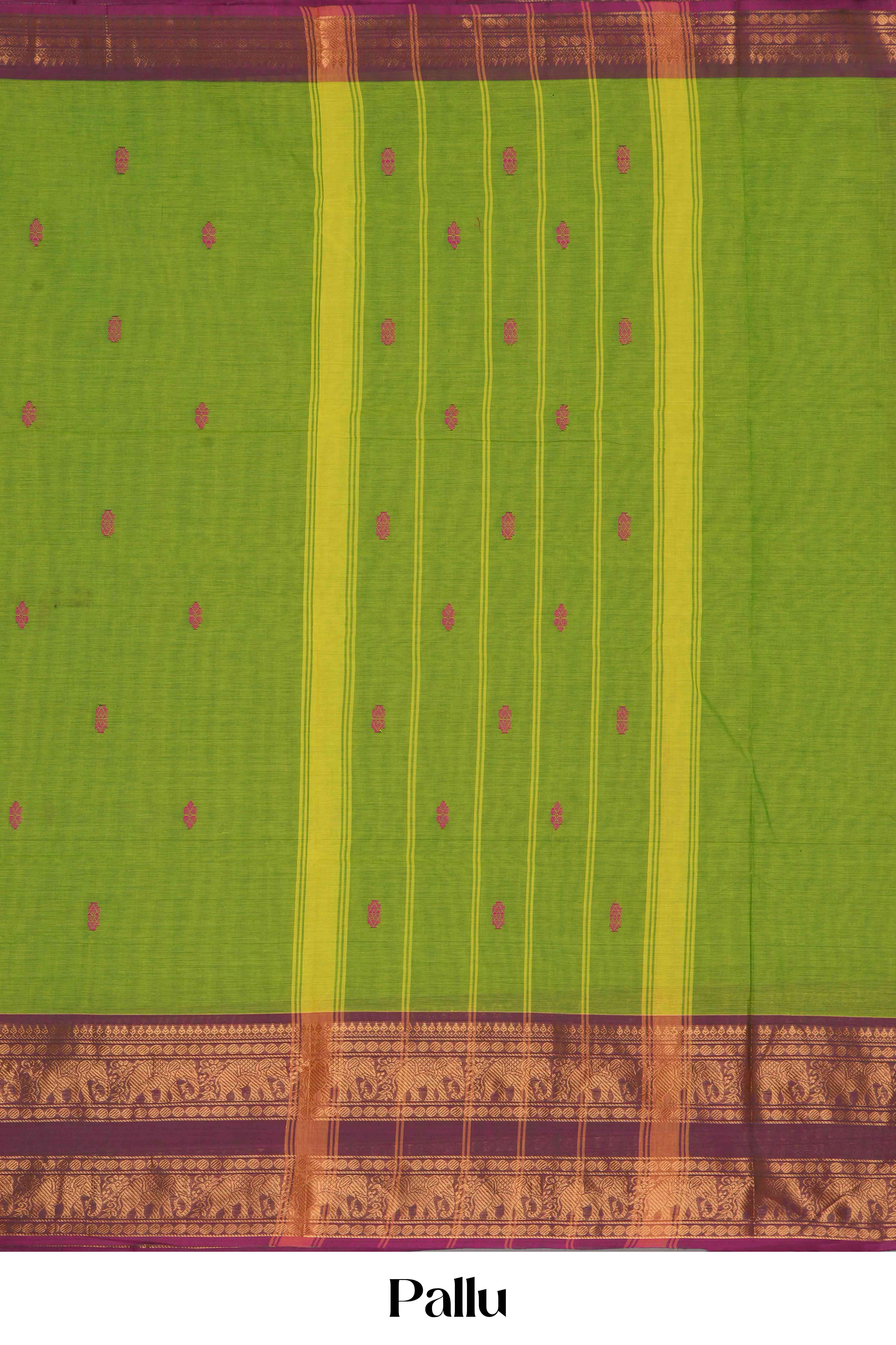 Light green maroon contrast border saree