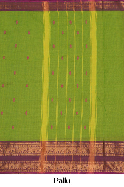 Light green maroon contrast border saree