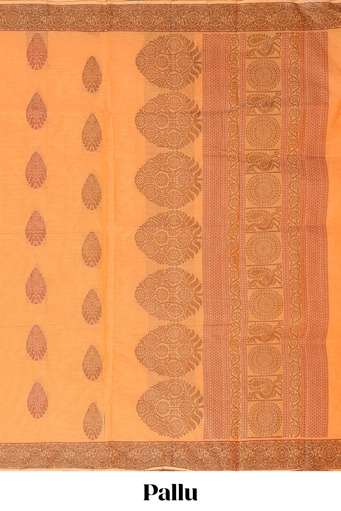  Orange kanchi cotton saree