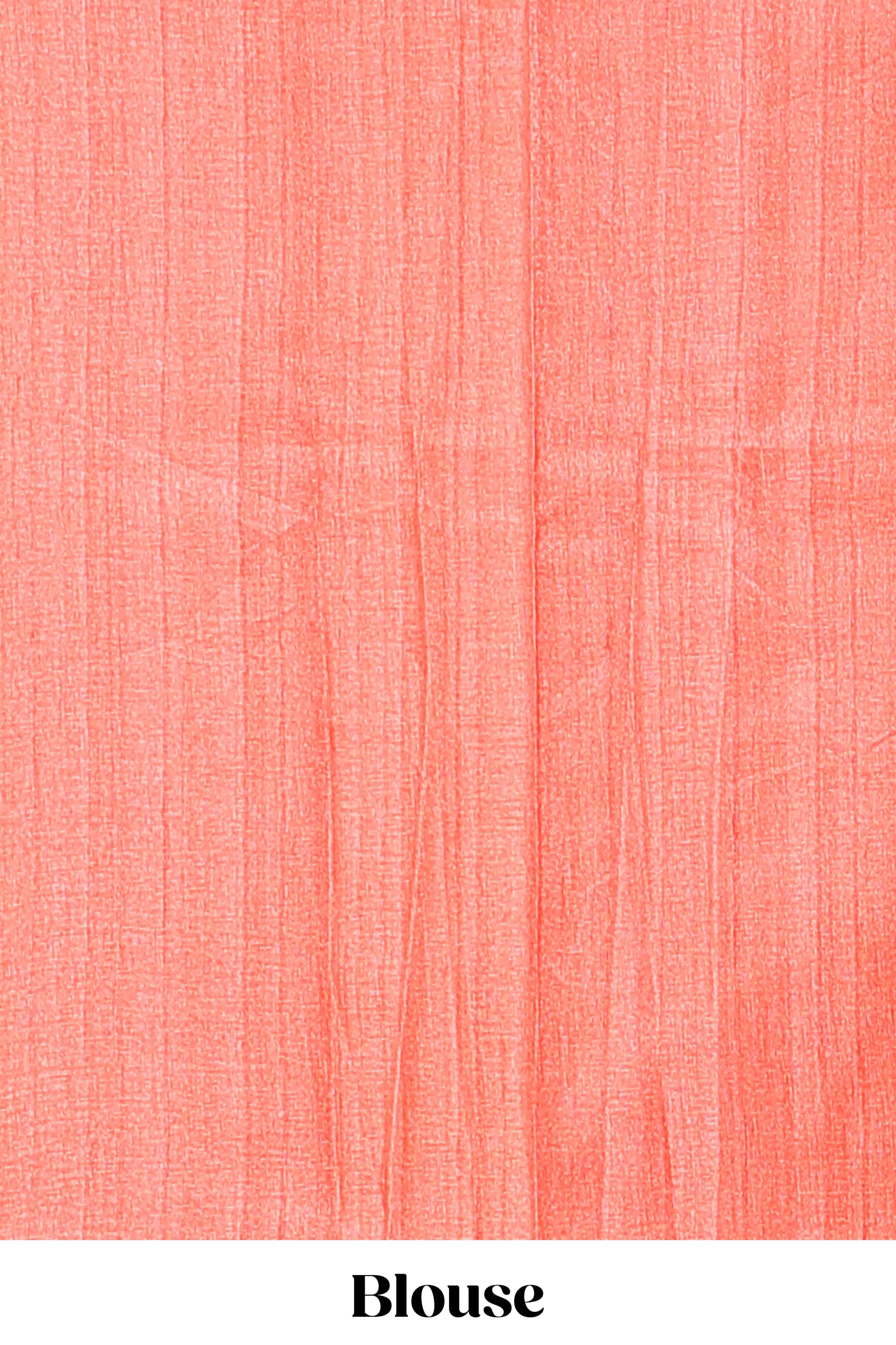 Orange saree with Coordinated blouse styling