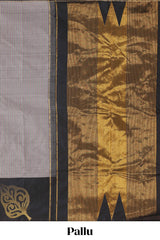 Multi color checked parambariya pattu saree with contrast leaf zari border and golden zari pallu