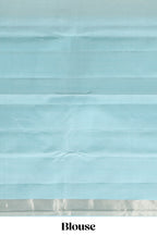Borderless multi color parambariya pattu saree with contrast zari striped pallu and blouse