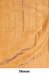 Rust orange geometric design parambariya pattu saree with contrast floral border and motifs blouse