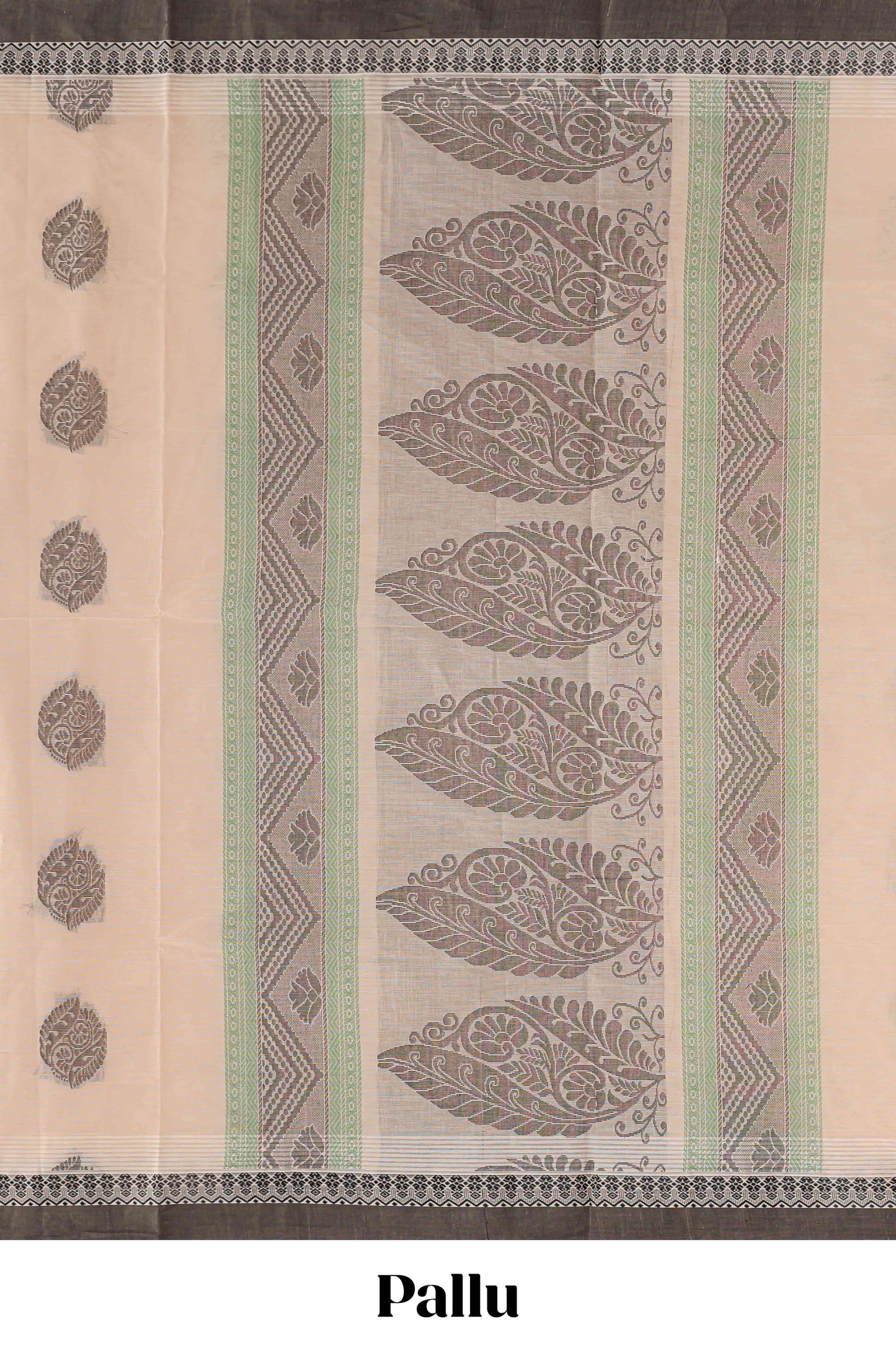 Sandal floral motifs kovai cotton saree with contrast border and matching pallu