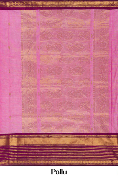 Pink magenta contrast border saree