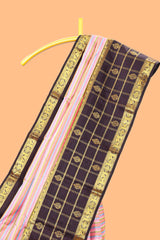 Multicolor striped swayamvara pattu saree withcontrast checked design border and blouse