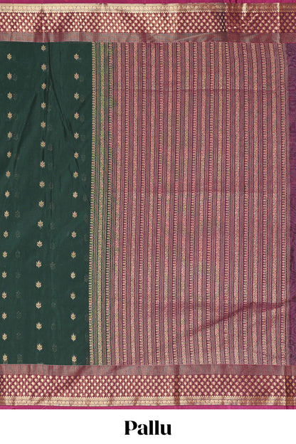 Striped pallu accent