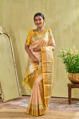 Traditional mint silk saree