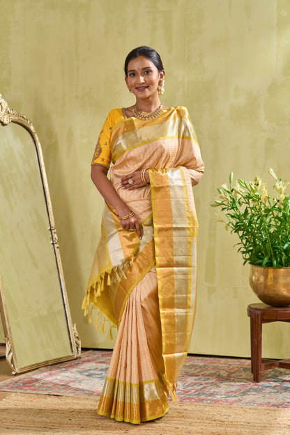 Traditional mint silk saree