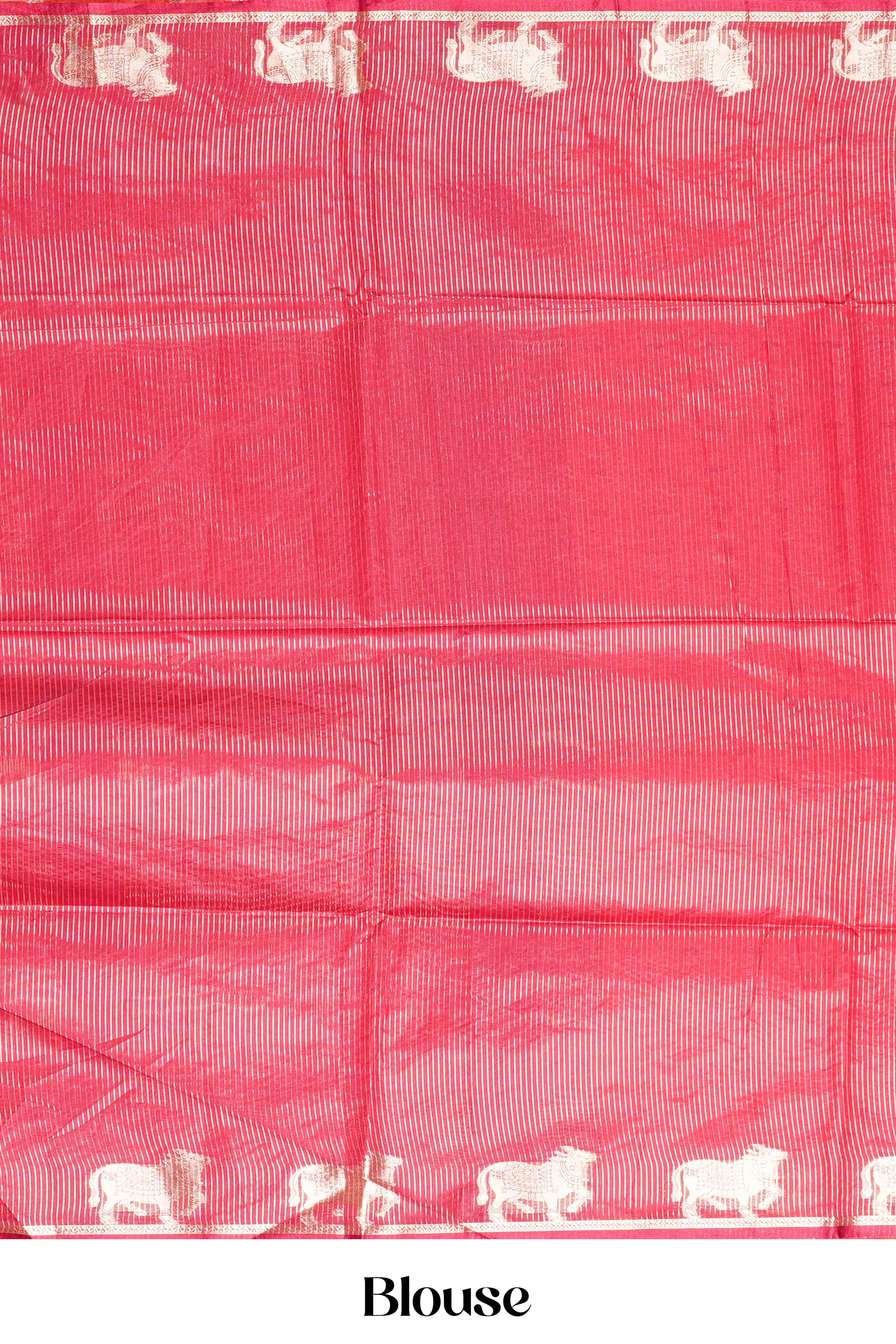 Zari pallu shine