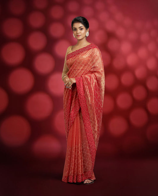 Red net saree with gold color stonework